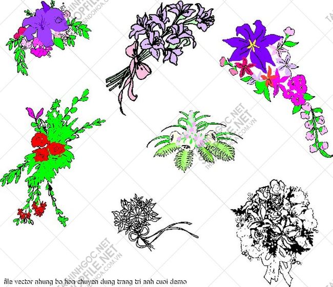 file vector nhung bo hoa chuyen dung trang tri anh cuoi 